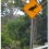 Catching the Ferry to Bruny Island