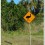 A Bike Ride on the Beach in Mulambin, QLD