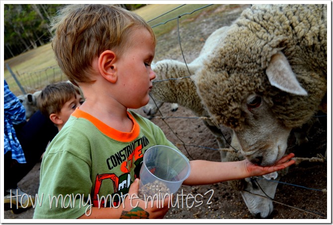 Our Australia Day in Margaret River