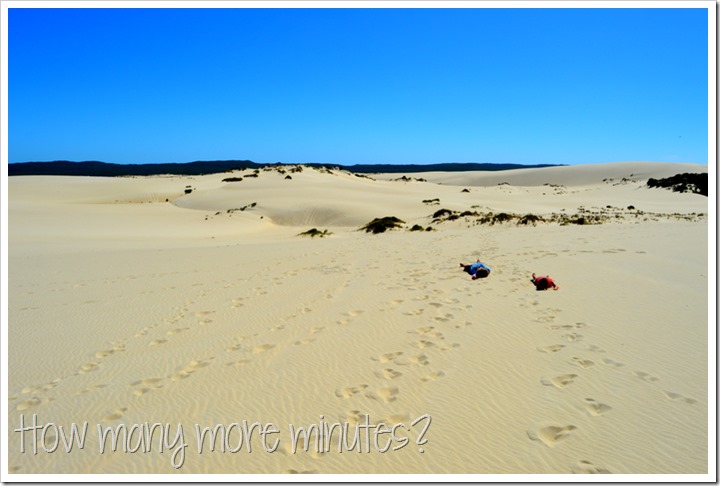 The Yeagarup Sand Dunes | How Many More Minutes?