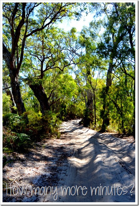 The Yeagarup Sand Dunes | How Many More Minutes?