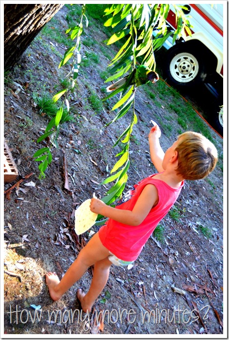 Birds and a Train in Pemberton | How Many More Minutes?