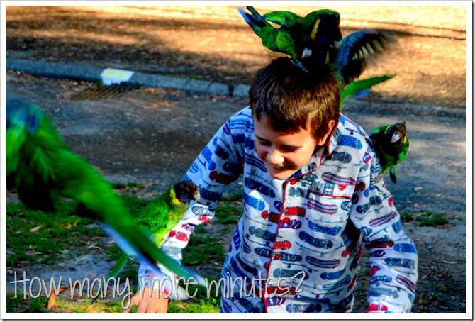 Birds and a Train in Pemberton | How Many More Minutes?