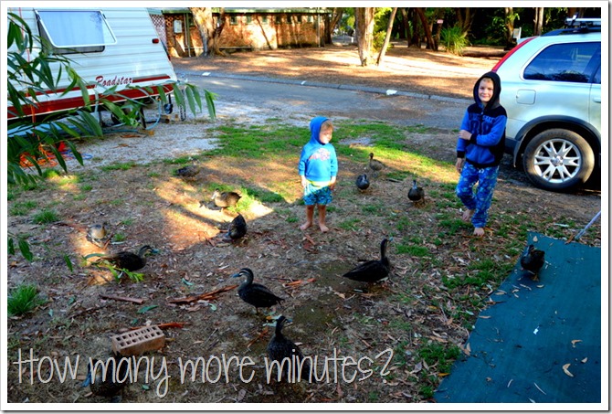 Birds and a Train in Pemberton | How Many More Minutes?