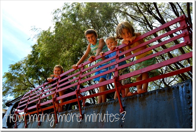 Birds and a Train in Pemberton | How Many More Minutes?