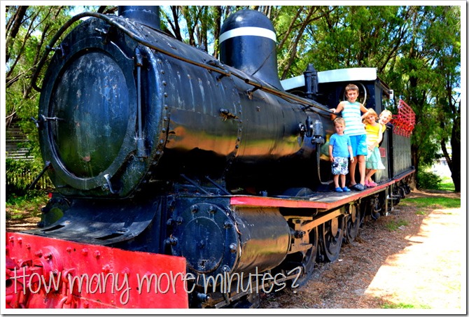 Birds and a Train in Pemberton | How Many More Minutes?