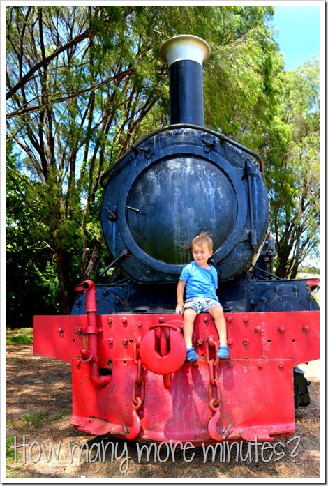 Birds and a Train in Pemberton | How Many More Minutes?