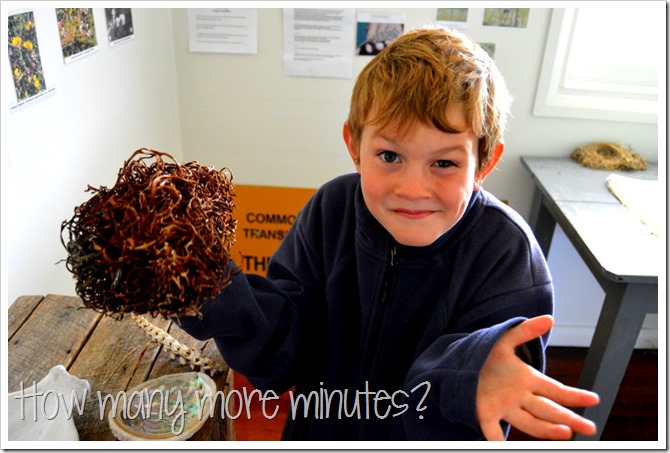 Cape Bruny Lighthouse | How Many More Minutes?