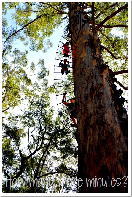 The Hugely Terrifying Diamond Tree Lookout | How Many More Minutes?