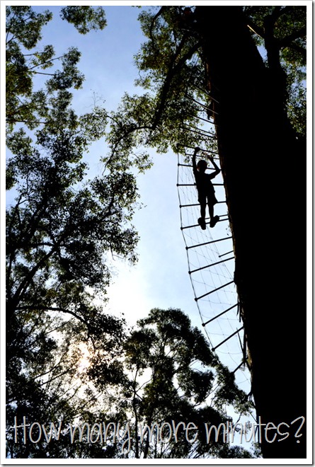 The Hugely Terrifying Diamond Tree Lookout | How Many More Minutes?